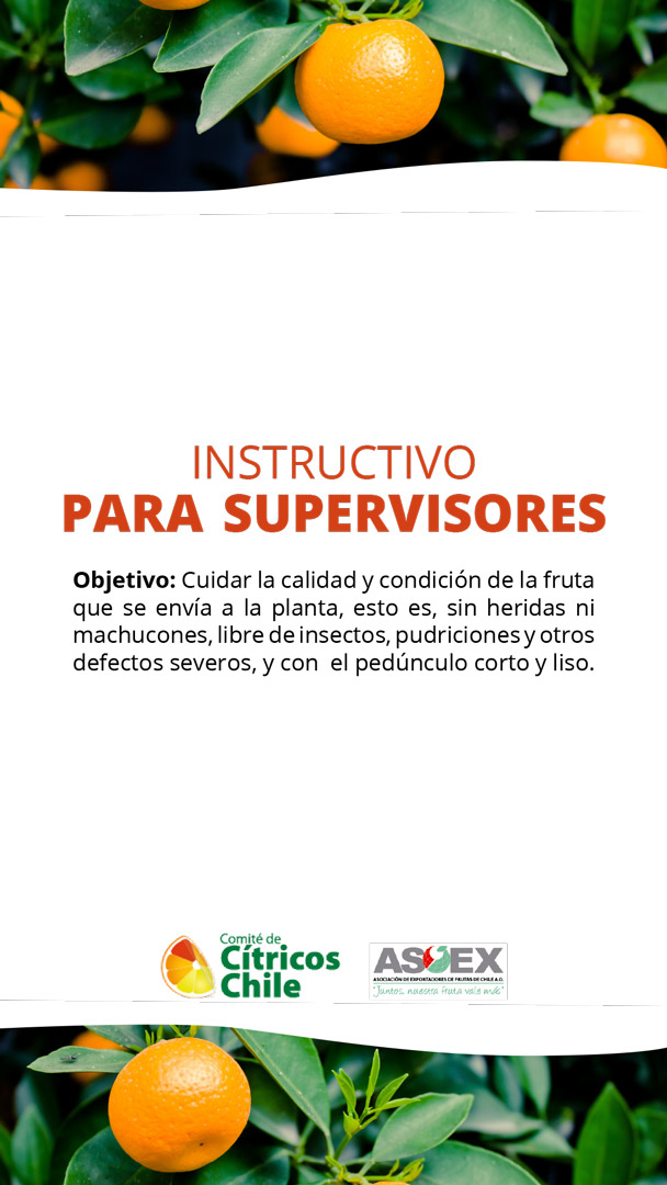 Instructivo para Supervisores