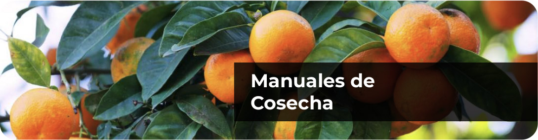 Portada Manuales
