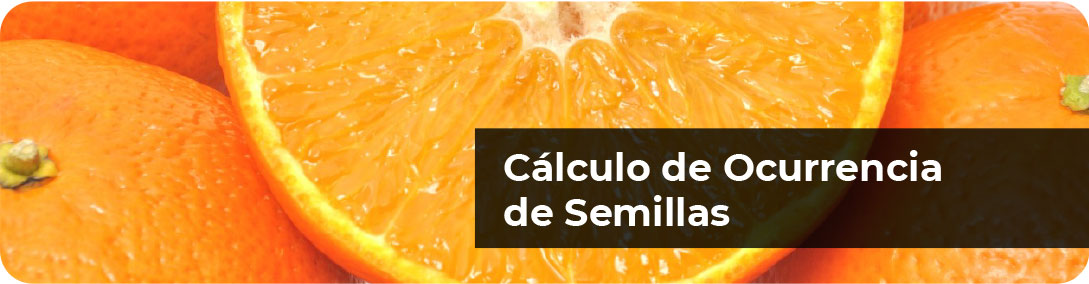 Portada Semillas