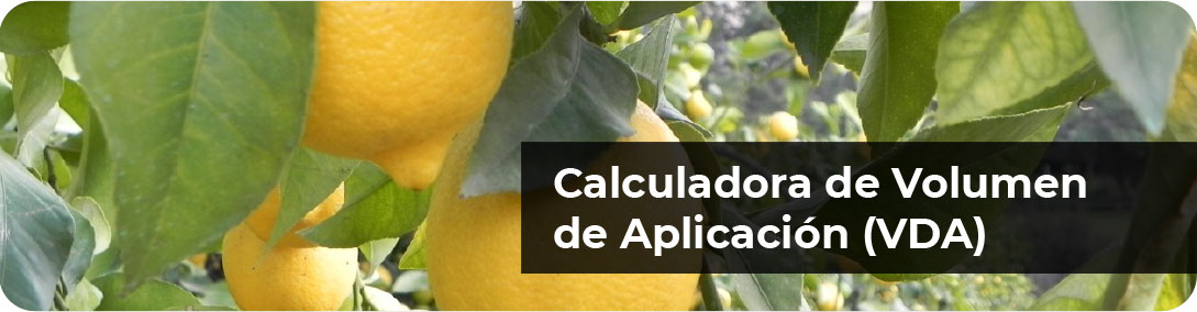 Portada Vda